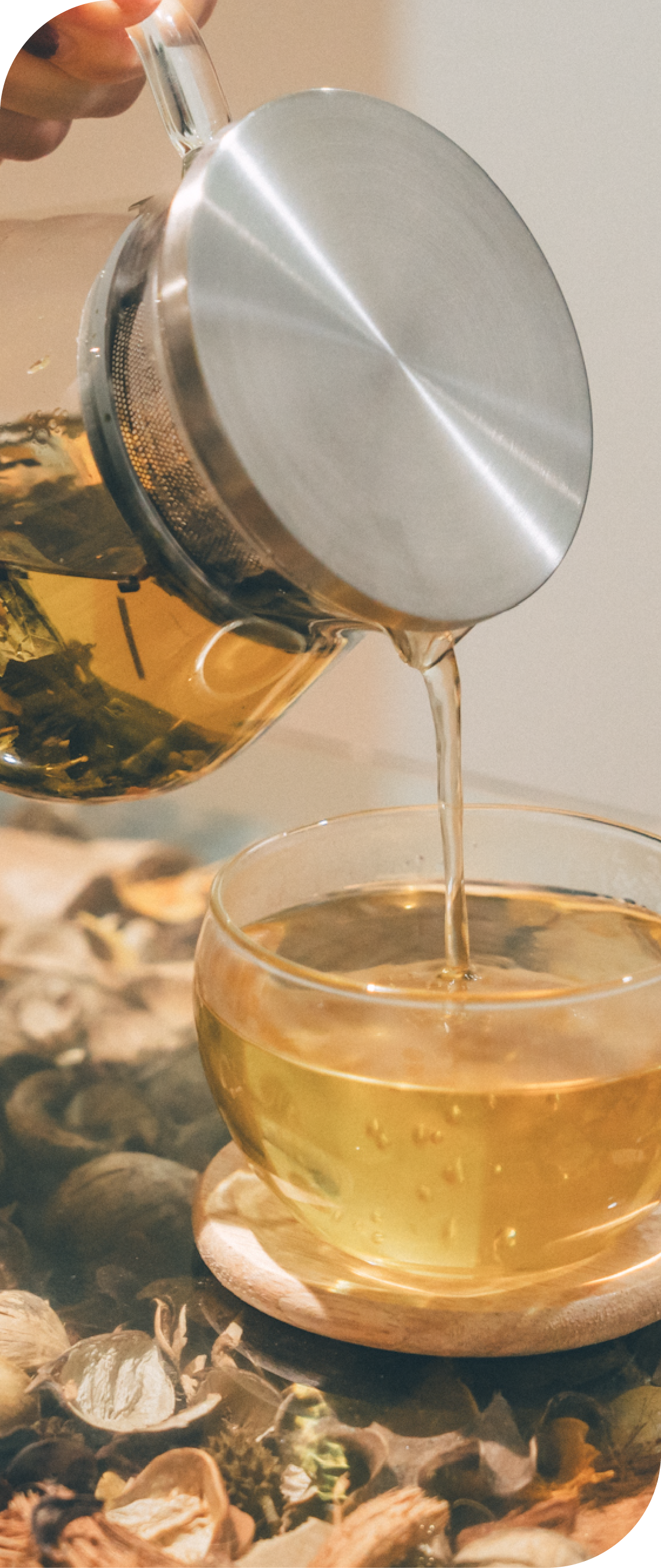 ハーブティーの写真