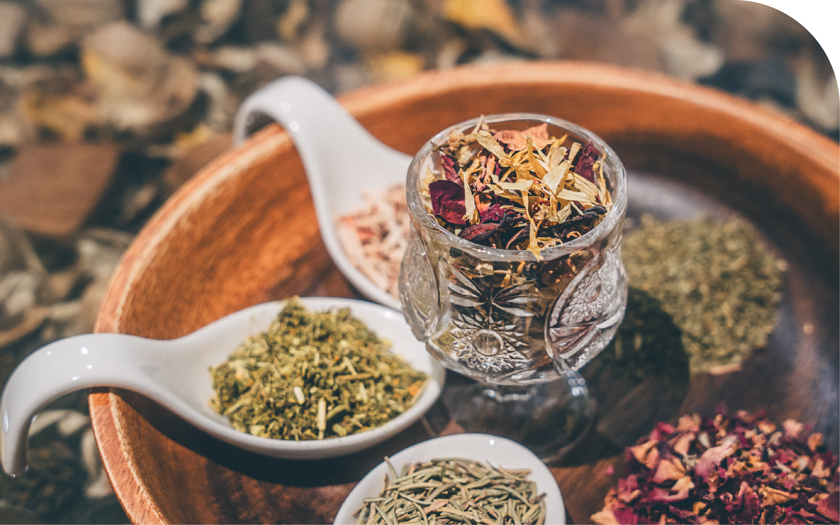 厳選無農薬ハーブの写真