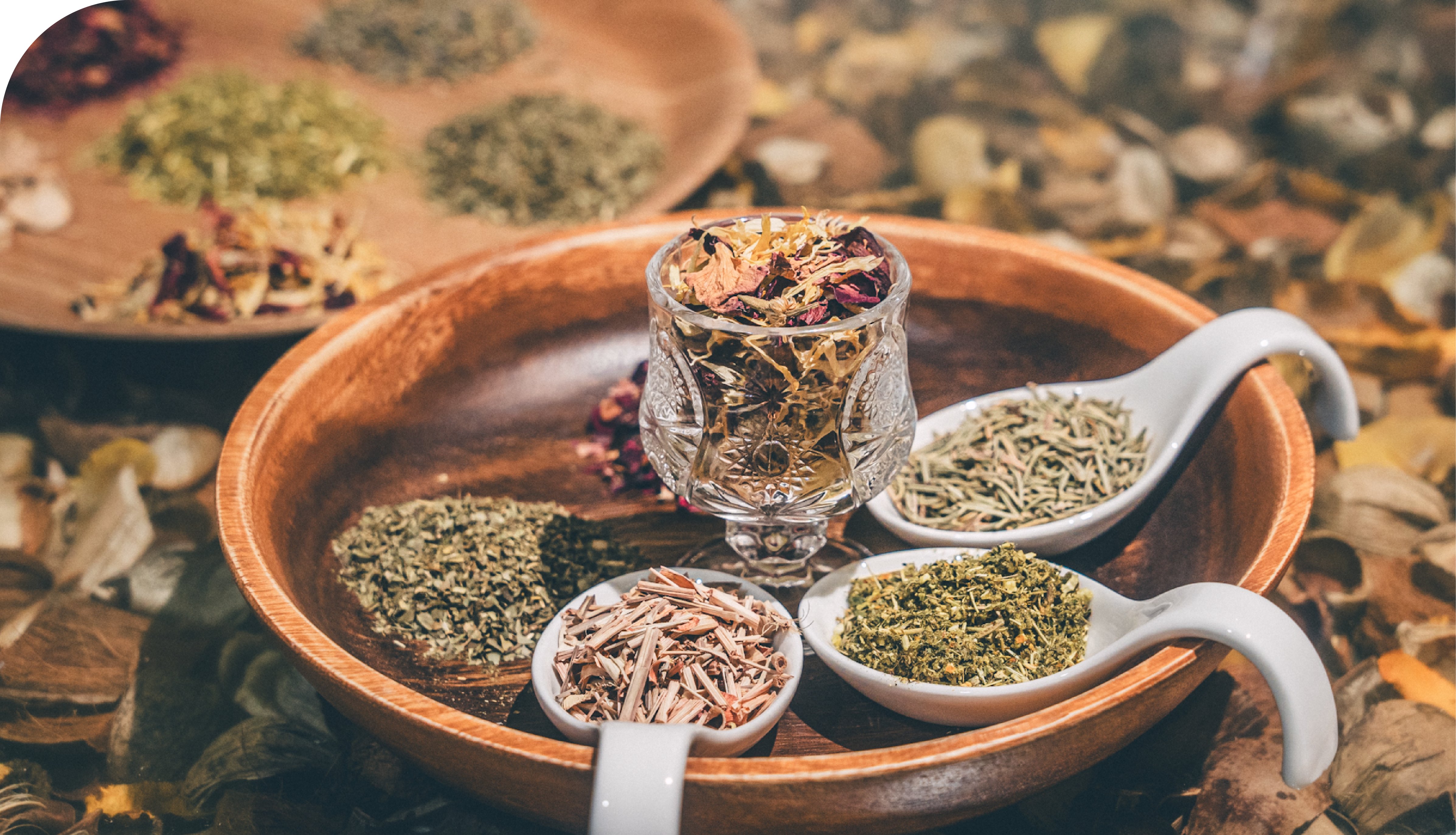 厳選無農薬ハーブの写真